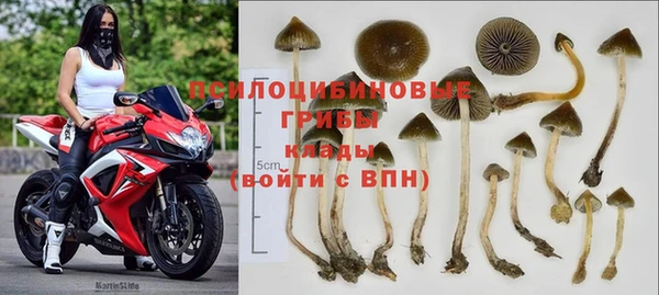 МДПВ Вязьма